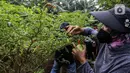 Warga memanen hasil pertanian di Susia Garden, Kalibata, Jakarta, Sabtu (12/2/2022). Di tempat ini warga bisa memanen langsung dan membeli hasil pertanian dari kebun tersebut. (Liputan6.com/Johan Tallo)