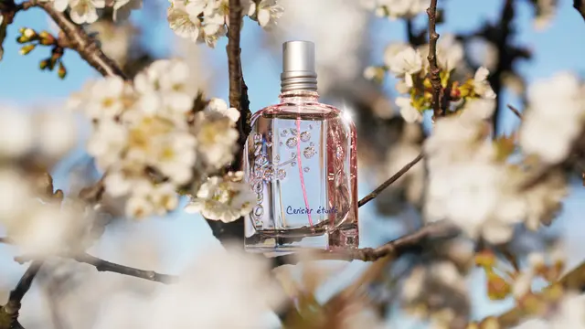 Starry Cherry Blossom Eau De Toilette