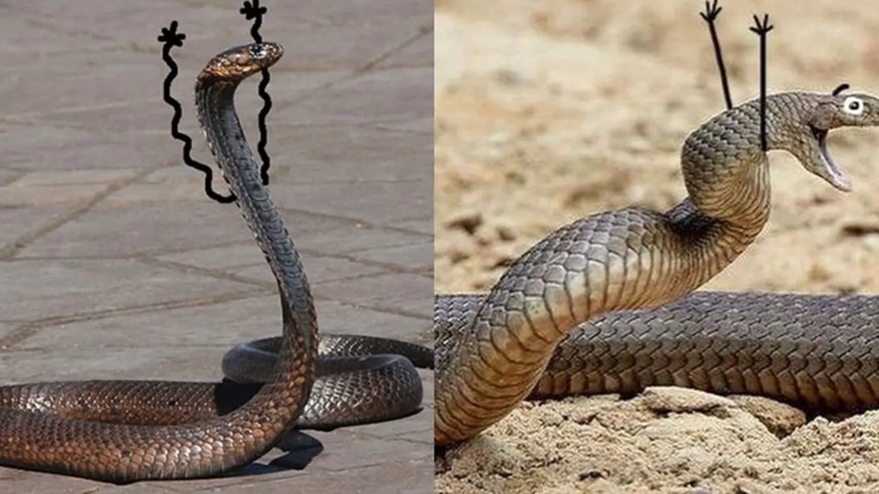 6 Editan Foto Ular Ekspresi Kaget Ini Absurd, Gagal Tampak Seram