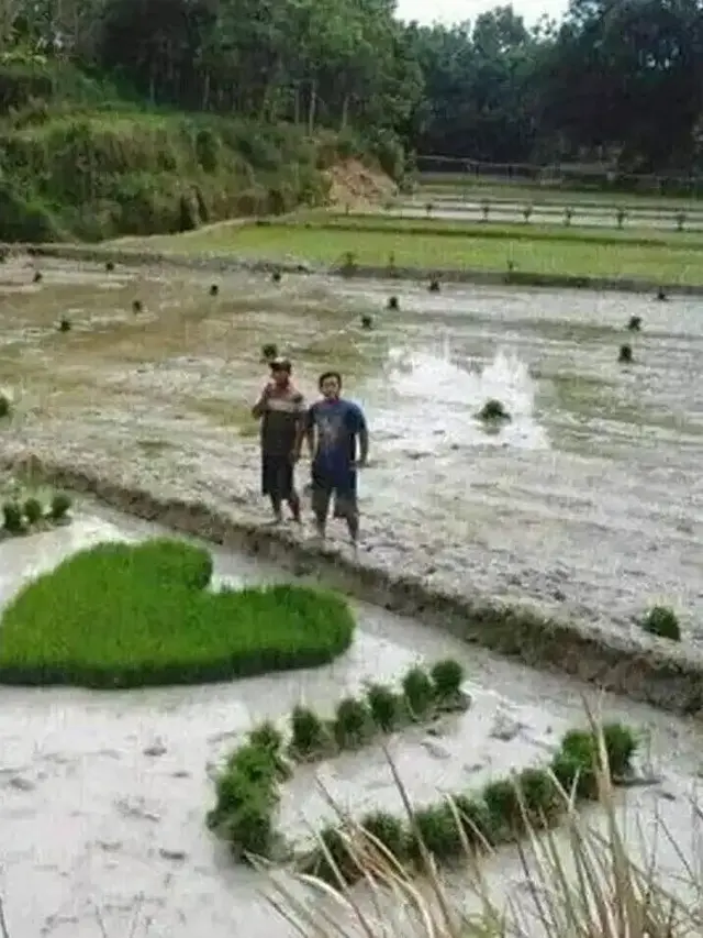 8 Momen Kocak Orang Nembak Gebetan, Ada yang Berujung Patah Hati