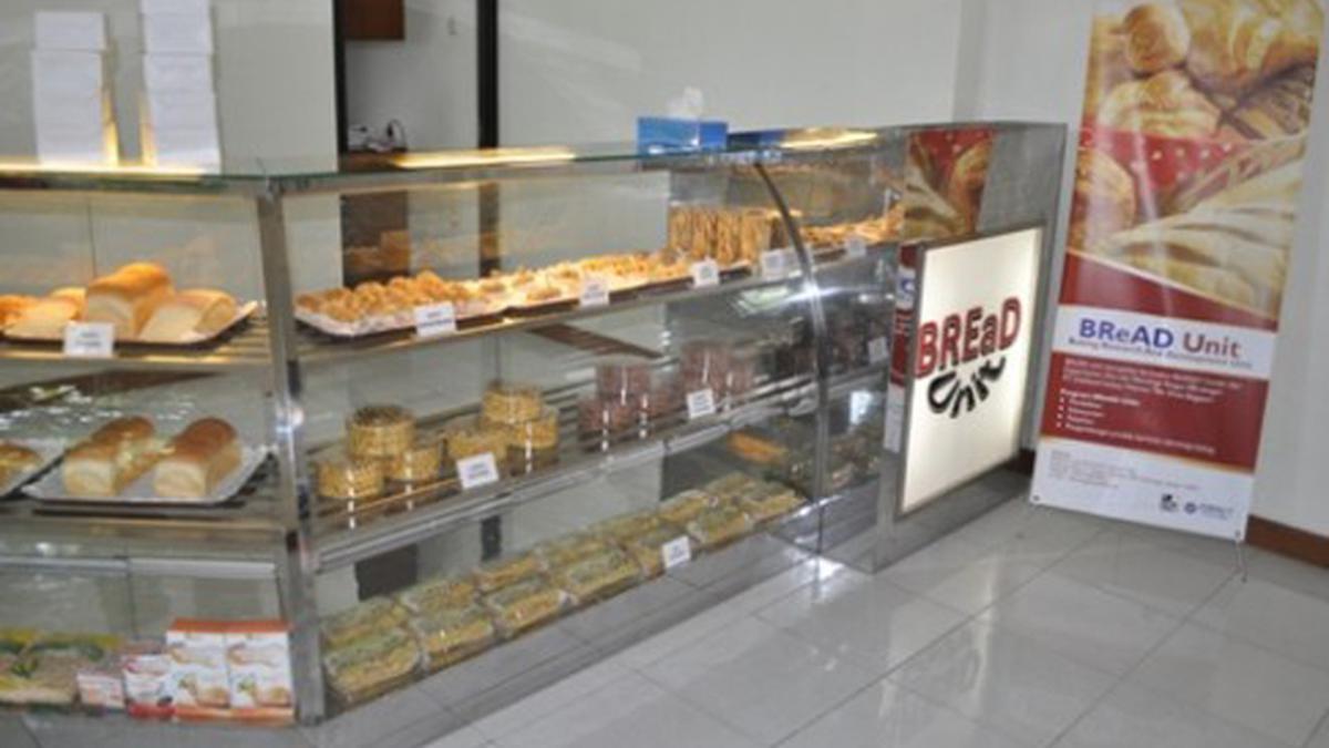 Roti Sehat Rasa Kencur dan Bawang Putih di Kampus IPB