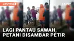 Innalillahi, Petani Meninggal Dunia Usai Disambar Petir