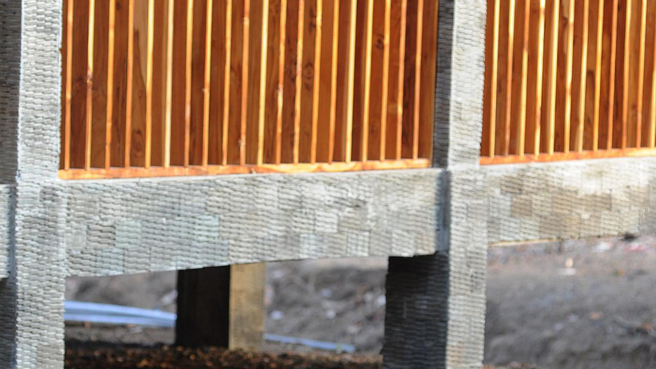 Melihat Interaksi Komodo dengan Manusia di Pulau Rinca