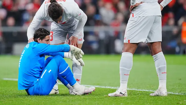 Yann Sommer, Timnas Swiss