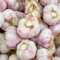 Bawang//copyright pexels/Detlef Hansmann