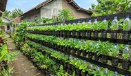 7 Desain Kebun Mini di Pagar Rumah Pakai Botol Plastik yang Mudah Dibuat