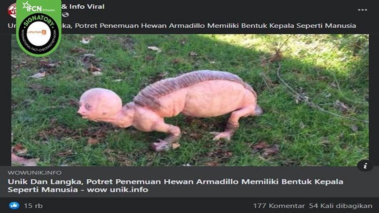 Gambar Tangkapan Layar Foto yang Diklaim Penampakan Hewan Armadilo Berkepala Manusia (sumber: Facebook).