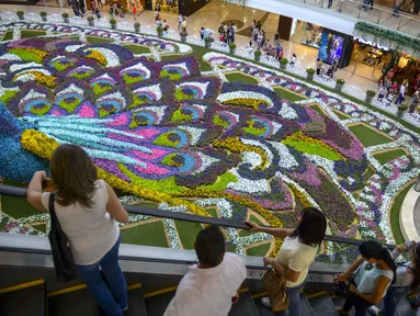 Sejumlah pengunjung melihat merak raksasa selama Festival Bunga di Pusat Perbelanjaan Santa Fe di Medellin, Kolombia (3/8). Merak yang terbuat dari 182.000 bunga ini memiliki panjang 12 meter (40 kaki). (AFP Photo/Joaquin Sarmiento)
