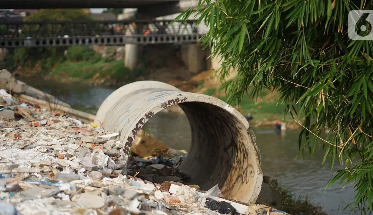 Saluran gorong-gorong menghiasi bantaran Sungai Ciliwung di kawasan Rawajati, Jakarta, Rabu (30/10/2019). Tiang-tiang pancang itu merupakan sisa proyek normalisasi Sungai Ciliwung dan telah berada di bantaran tersebut selama beberapa tahun terakhir. (Liputan6.com/Immanuel Antonius)