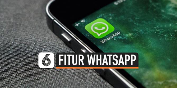 VIDEO: Fitur Baru Whatsapp untuk Perangkat Android
