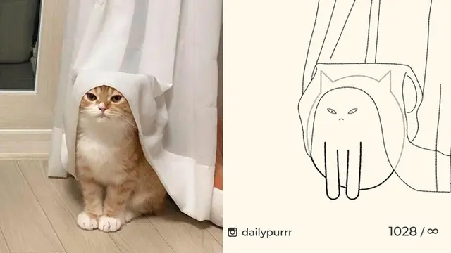 8 Gambar Kucing yang Tak Sesuai Ekspektasi, Ternyata Hasilnya Bikin Salut
