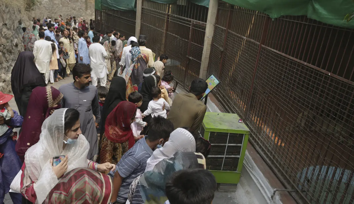 <p>Keluarga mengunjungi kebun binatang di titik piknik untuk merayakan liburan Idul Fitri, membuat di akhir bulan puasa Ramadhan, di Lahore, Pakistan, Rabu, 4 Mei 2022. (AP Photo/K.M. Chaudary)</p>