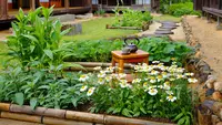 9 Ide Kebun Produktif ala Rumah Jepang di Desa untuk Kehidupan Lebih Seimbang Tren 2026