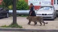 Bawa Harimau Berkeliling Kota, Pria Ini Gemparkan Warga