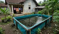 7 Cara Ternak Ikan Mujair di Kolam Terpal untuk Pemula, Modal Kecil Bisa Cuan