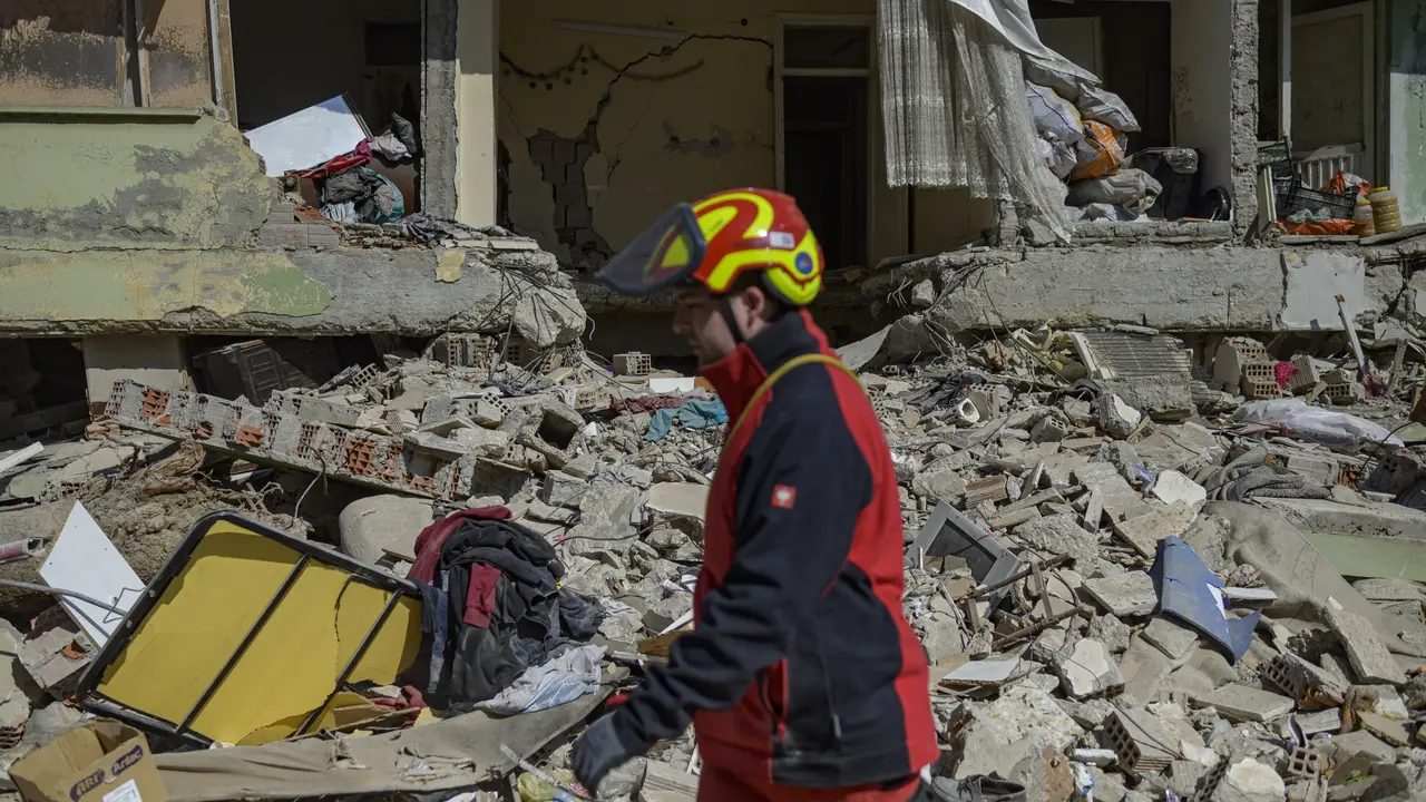 Mencari Hewan-Hewan yang Terperangkap Reruntuhan Bangunan Gempa Turki Suriah
