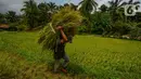 Kenaikan ini disebakan karena pasokan panen padi berkurang akibat musim kemarau panjang yang menyebabkan petani gagal panen. (merdeka.com/Arie Basuki)