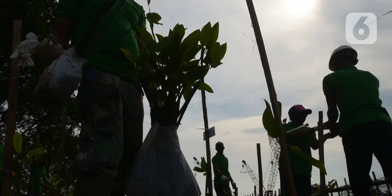 Penanaman Bibit Mangrove di Kawasan Marunda