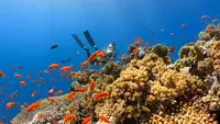Penyelam Inggris Temukan Desa Abad Pertengahan yang Hilang di Bawah Laut