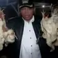 Ratusan ayam tiren disita petugas di tempat penampungan ayam di jakarta timur