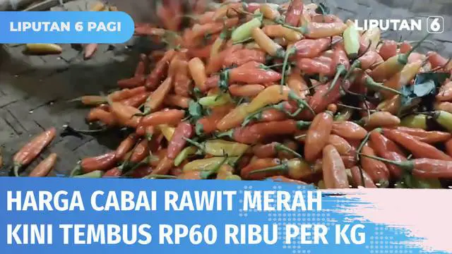 VIDEO: Harga Cabai Rawit Merah Makin Pedas! Kini Tembus Rp 60 Ribu per Kg