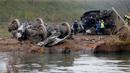 Petugas penyelamat saat mencari korban - korban kereta yang jatuh di sungai dekat Strasbourg, Perancis, Sabtu (14/11/2015). Kereta itu membawa 49 teknisi kereta api. (REUTERS/Vincent Kessler)