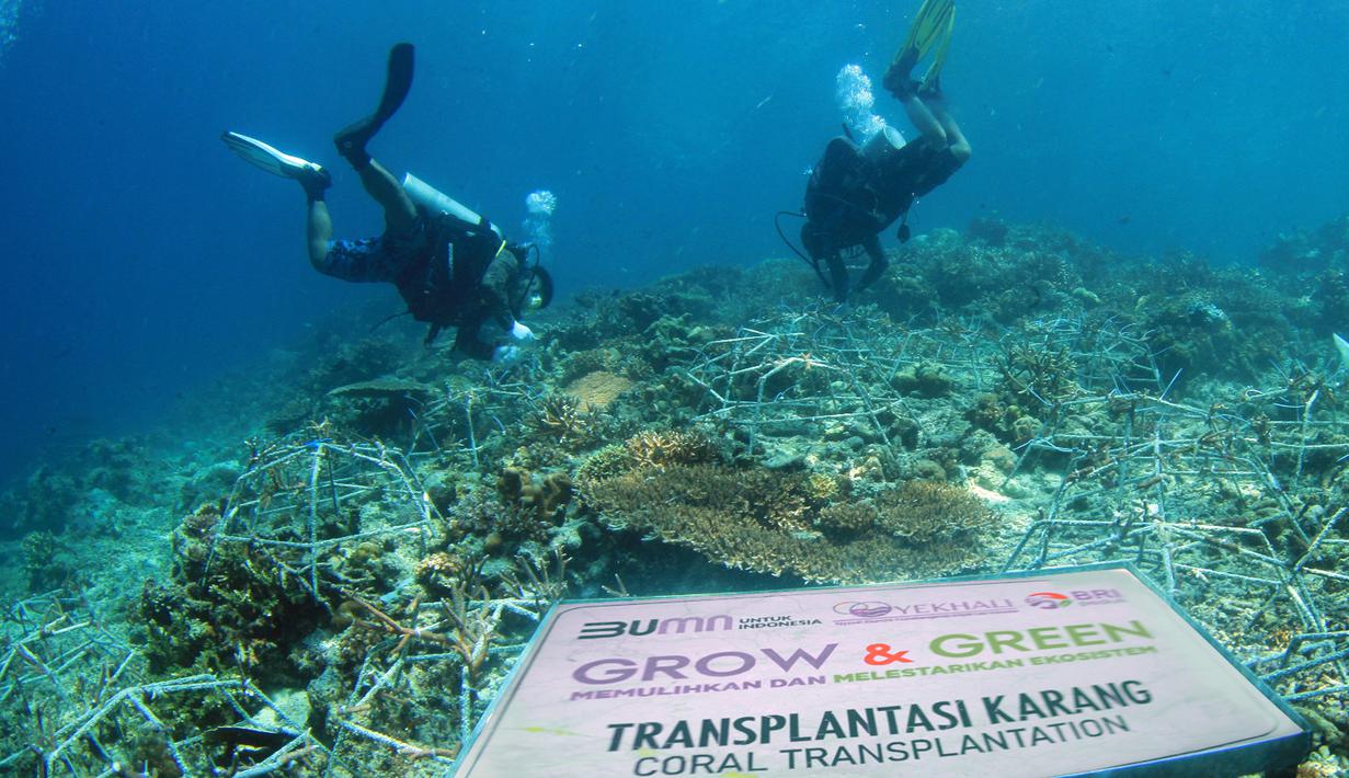 <p>BRI melalui aktivitas Corporate Social Responsibilty (CSR) BRI Peduli Grow &amp; Green berkomitmen mendukung dan menjaga ekosistem dengan biodiversitas laut yang tertinggi dibanding ekosistem laut lainnya, melindungi pantai dan daerah pesisir, serta mengurangi pemanasan global. (Dok. BRI)</p>