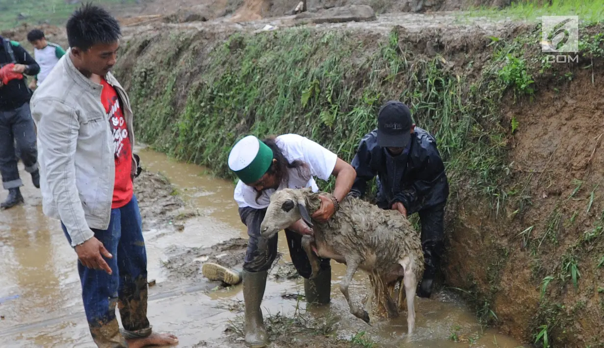 Warga memandikan seekor kambing usai diselamatkan dari timbunan longsor di Dusun Cimapag, Desa Sirnaresmi, Kecamatan Cisolok, Sukabumi, Selasa (1/1). Longsor menerjang Dusun Cimapag pada 31 Desember 2018. (Merdeka.com/Arie Basuki)