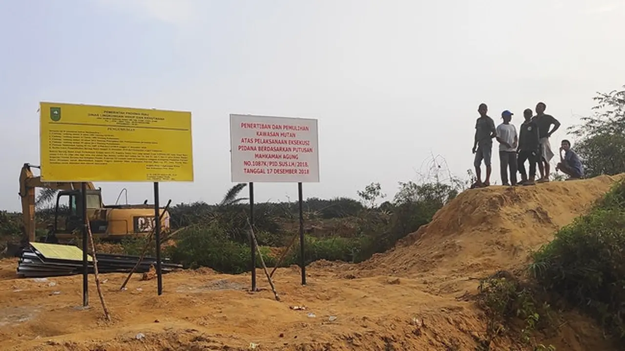 Masyarakat melihat eksekusi lahan kebun sawit di Desa Gondai, Kabupaten Pelalawan.