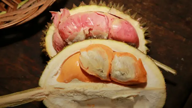 Kampung Durian Banyuwangi