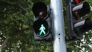 Penganut Teori Konspirasi Sebut Lampu Lalu Lintas Bisa Membunuh Manusia
