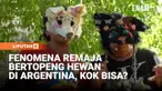Sejumlah remaja di Buenos Aires, Argentina menyebut diri mereka sebagai “therian” dan viral di media sosial karena mengidentifikasi diri dengan hewan. Tren ini memicu perdebatan publik dan menarik perhatian psikolog di Argentina.