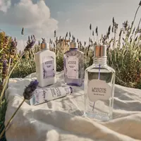 L'occitane telah meluncurkan produk perawatan tubuh terbaru yakni "White Lavender" dengan aroma white lavender yang mewah dan menenangkan. Document / L'occitane.