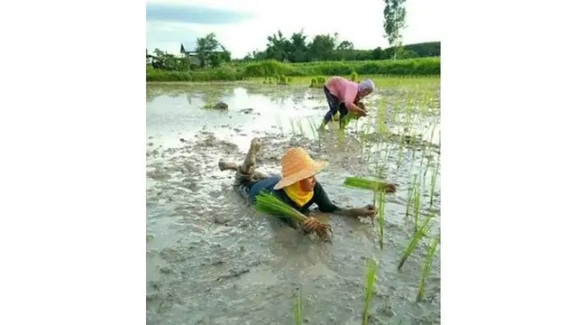 8 Potret Bukti Jika Indonesia Jadi Negara Tersantai di Dunia, Bikin Geleng Kepala