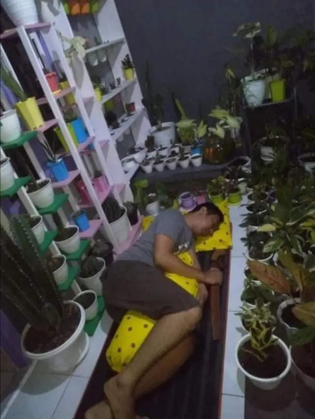 6 Penampakan Kamar dengan Konsep Nuansa Alam Ini Malah Bikin Melongo