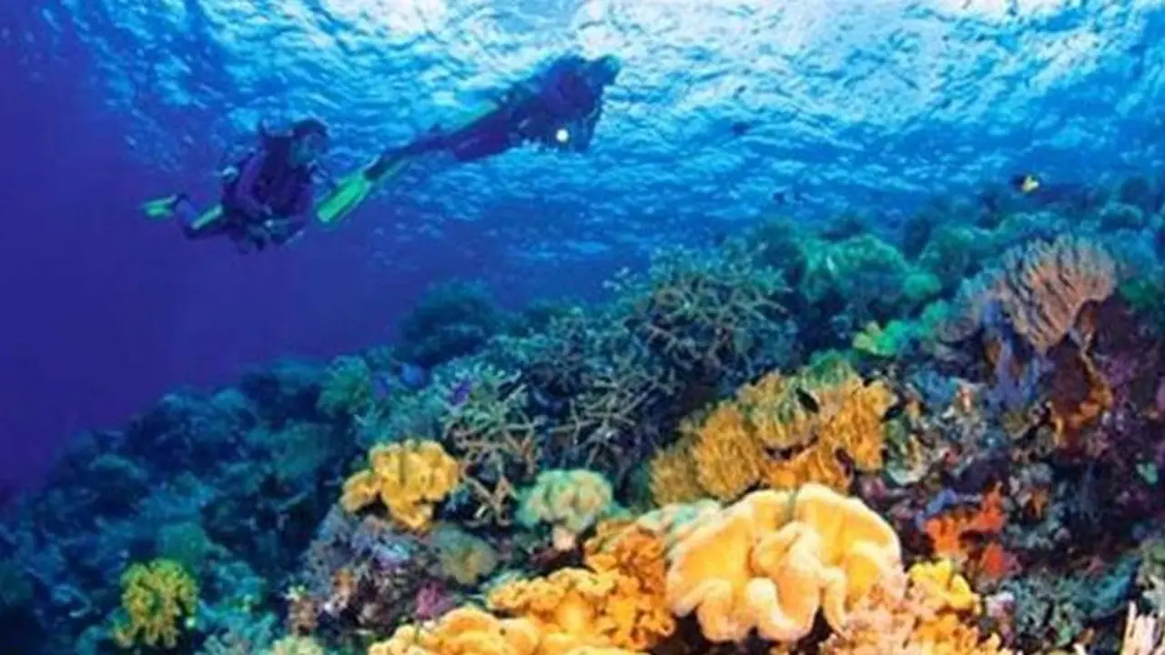Mau ke Wakatobi? Catat Tanggalnya 12-15 November 2016
