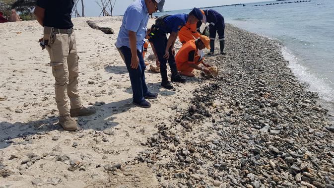 PPSU dan petugas Dinas LH berdama Bupati Kep. Seribu membersihkan tumpahan minyak yang masuk ke daratan Pulau Untung Jawa (Foto: Humas Kep Seribu)