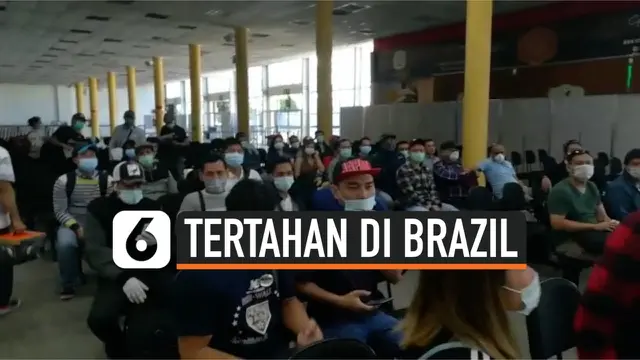 VIDEO: Perjuangan Ratusan WNI ABK Kapal Pesiar yang Tertahan di Brasil