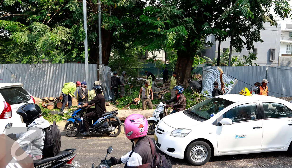 Petugas kebersihan DKI Jakarta saat melakukan pemotongan pohon tumbang di depan RSCM, Jakarta, Selasa (27/10/2015). Sebuah pohon besar tumbang menutup jalan dan menimpa bus metromini di depan RSCM. (Liputan6.com/Yoppy Renato)