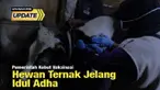 Kementan terus gencar menyebarkan vaksin PMK untuk para peternak. Terutama agar hewan peliharaan mereka aman dikonsumsi, terlebih menjelang Idul Adha 2022.
