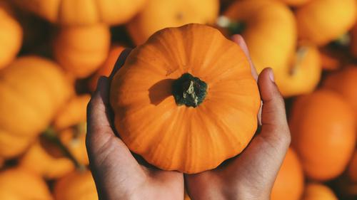 Manfaat labu kuning untuk diet