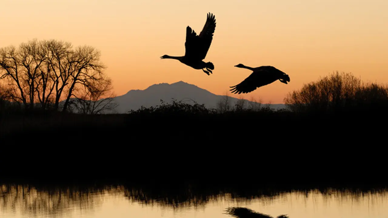 Ilustrasi (c) shutterstock
