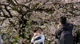 Wisawatan berfoto dengan latar belakang bunga sakura yang mekar penuh pada musim semi di Chidorigafuchi, Tokyo, Senin (26/3). Pada musim semi, wisatawan dapat menikmati keindahan bunga yang terkenal asal Jepang itu. (AP Photo/Shizuo Kambayashi)
