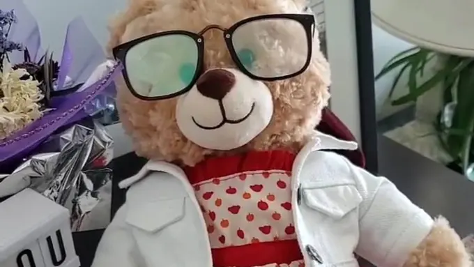 Boneka beruang yang hilang/dok. alohaaamara Instagram