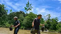 Bagaimana Cara Melestarikan Tumbuhan untuk Menjaga Keseimbangan Ekosistem dan Keanekaragaman Hayati
