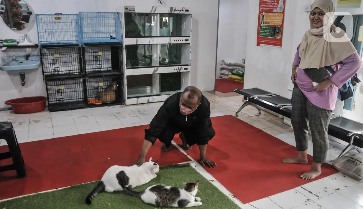 Warga antre mengikuti vaksinasi rabies dan sterilisasi kucing di Rawamangun, Jakarta Timur, Senin (20/6/2022). Dinas KPKP DKI Jakarta dan klinik hewan dan komunitas pecinta kucing menggelar pemeriksaan hewan peliharaan seperti vaksin rabies dan sterilisasi secara gratis menyambut HUT ke-495 Jakarta. (merdeka.com/Iqbal S. Nugroho)