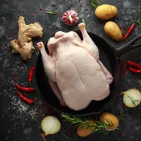 Ilustrasi/copyright shutterstock.com/DronG