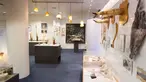 Suasana ruangan di dalam Museum Falologi Islandia yang memajang macam-macam penis binatang yang sudah diawetkan di Reykjavik, Islandia (27/10). Museum ini menyimpan berbagai bentuk dan ukuran penis binatang dan juga manusia. (AFP/Halldor Kolbeins)