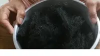 Viral Jajanan Alga Biru di China Mirip Rambut Manusia, Seperti Apa Rasanya?