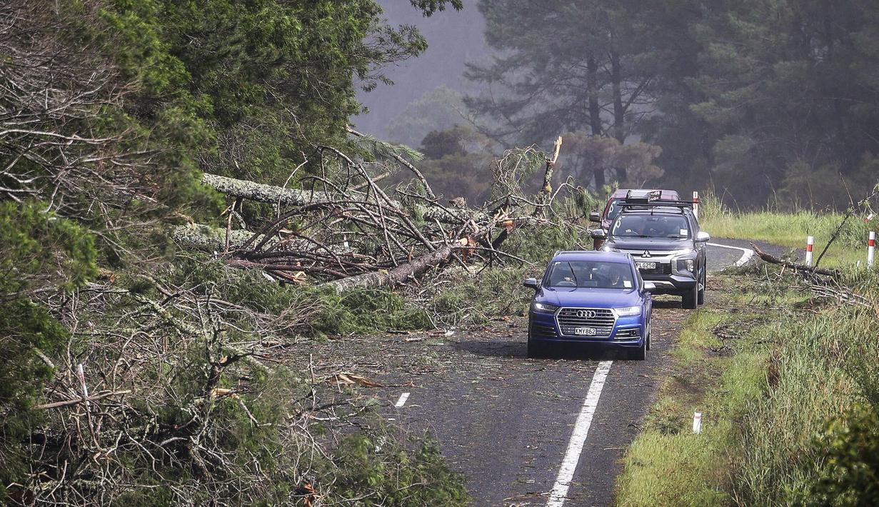 Mobil menghindari pohon tumbang di jalan di Cook's Beach, sebelah timur Auckland, Selandia Baru, Selasa (14/2/2023). Selandia Baru menyatakan status Keadaan Darurat Nasional pada Selasa setelah badai topan Gabrielle menerjang North Island sejak Minggu (12/2). (Mike Scott/New Zealand Herald via AP)